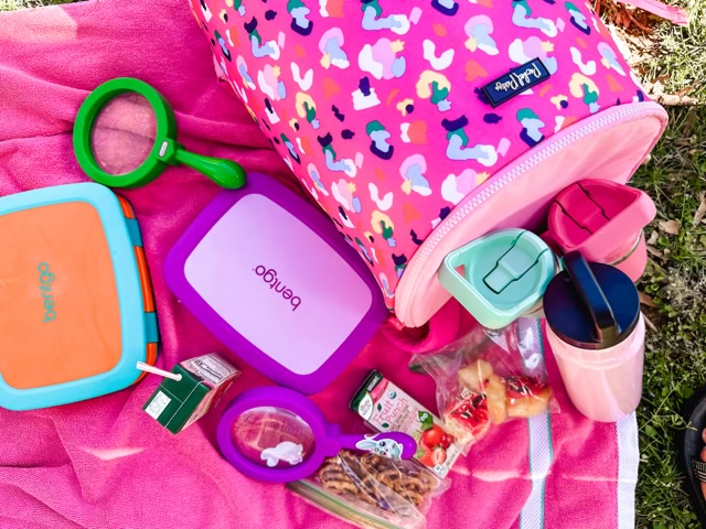 Our favorite picnic gear items.